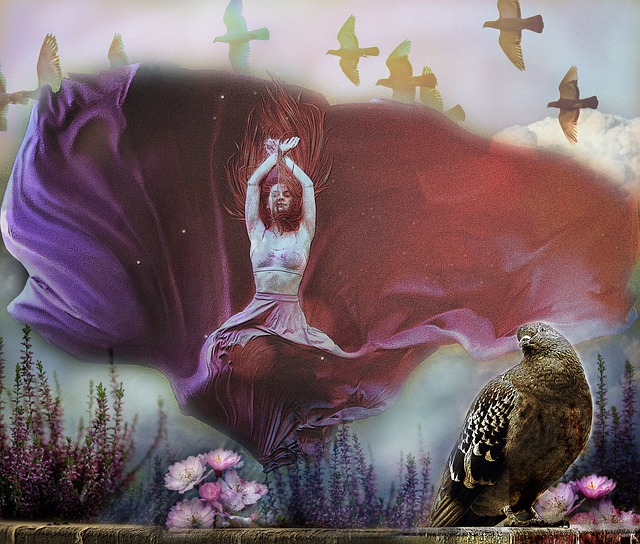 蒂姆在第四 蒂姆在第四