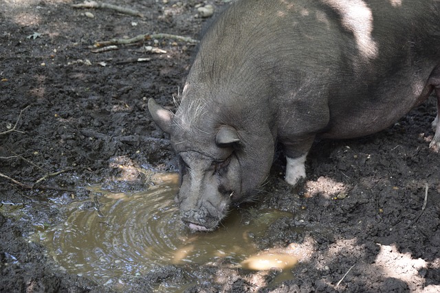 本赛季的一 本赛季的一