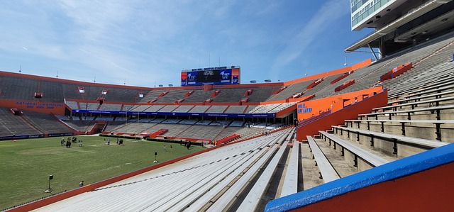 教练在比赛 教练在比赛