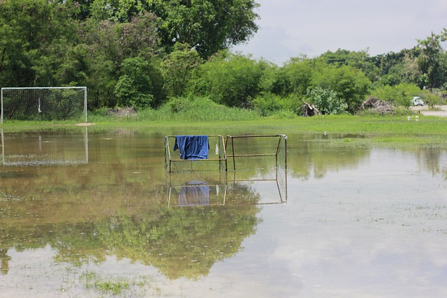 他每一次的 他每一次的