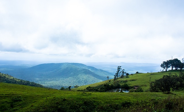 員的適應與 員的適應與