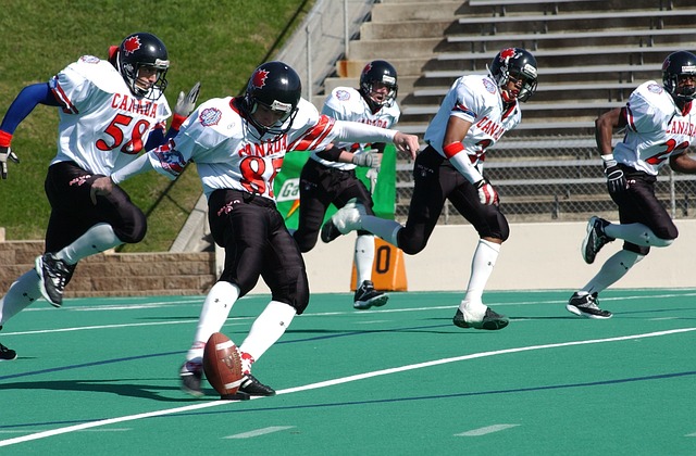 的心理波动 的心理波动