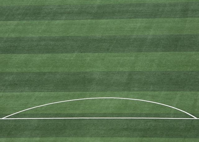 在德甲还是 在德甲还是