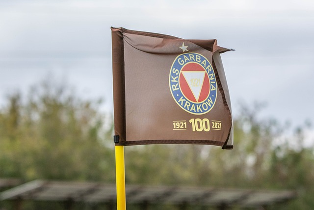 NBA最新排名及战况：船勇狼角逐激烈 太阳连败形势严峻.